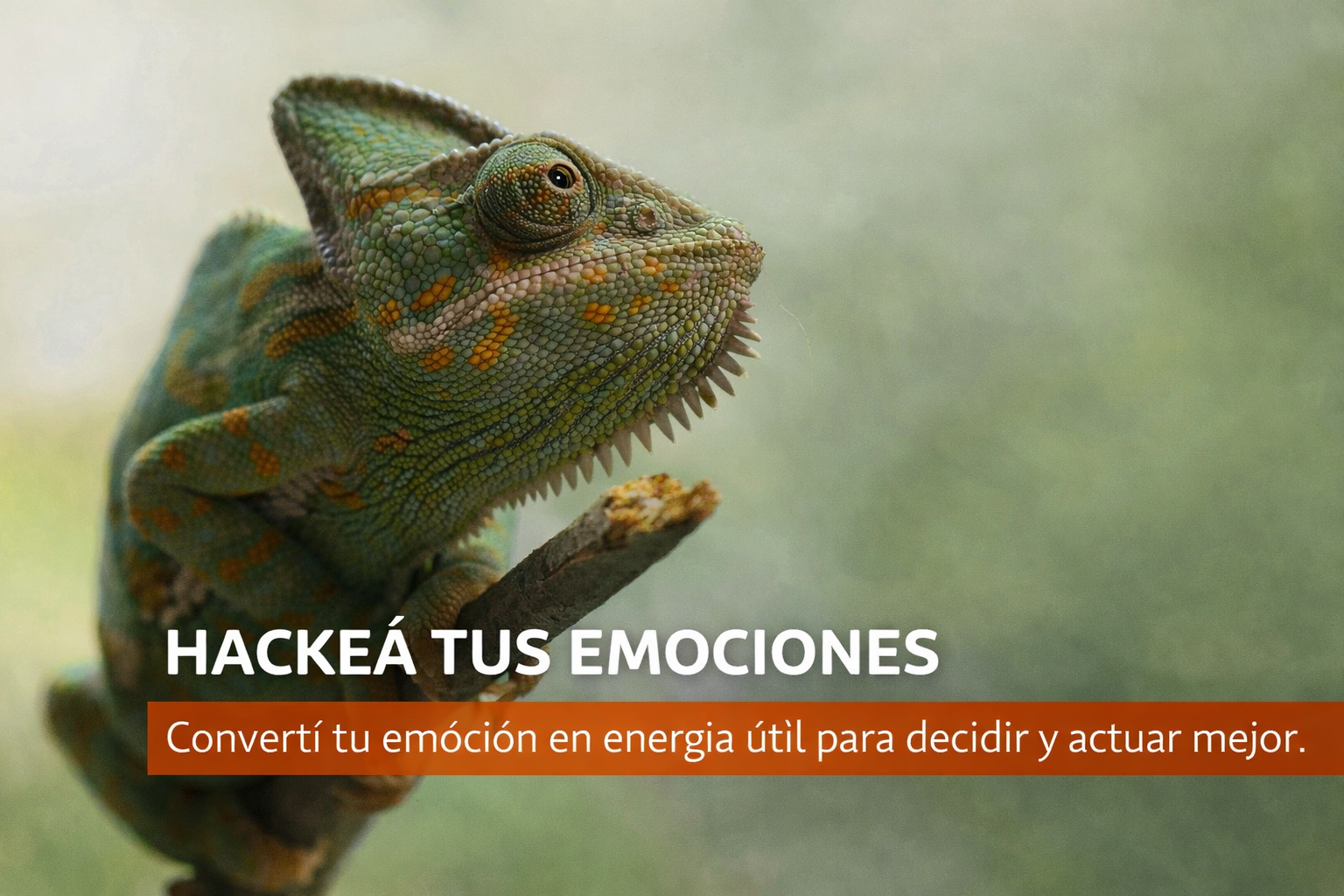 Curso Hackea tus emociones